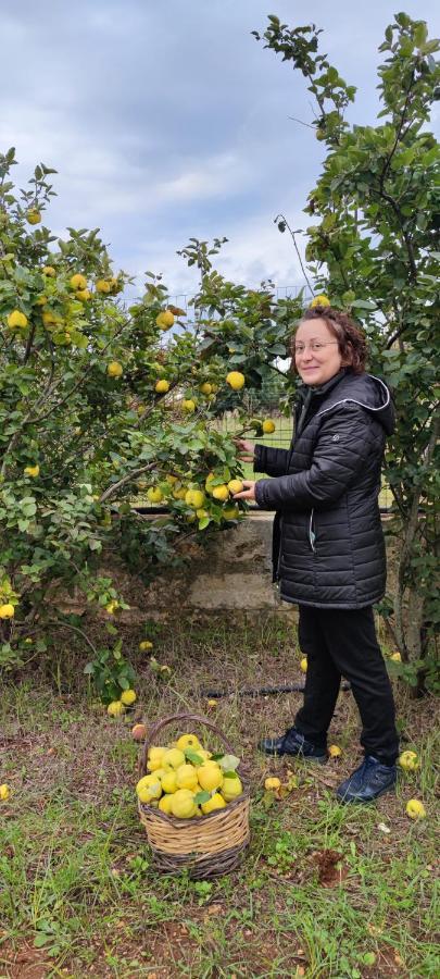 Tenuta la Trebbia Affittacamere Tricase Esterno foto