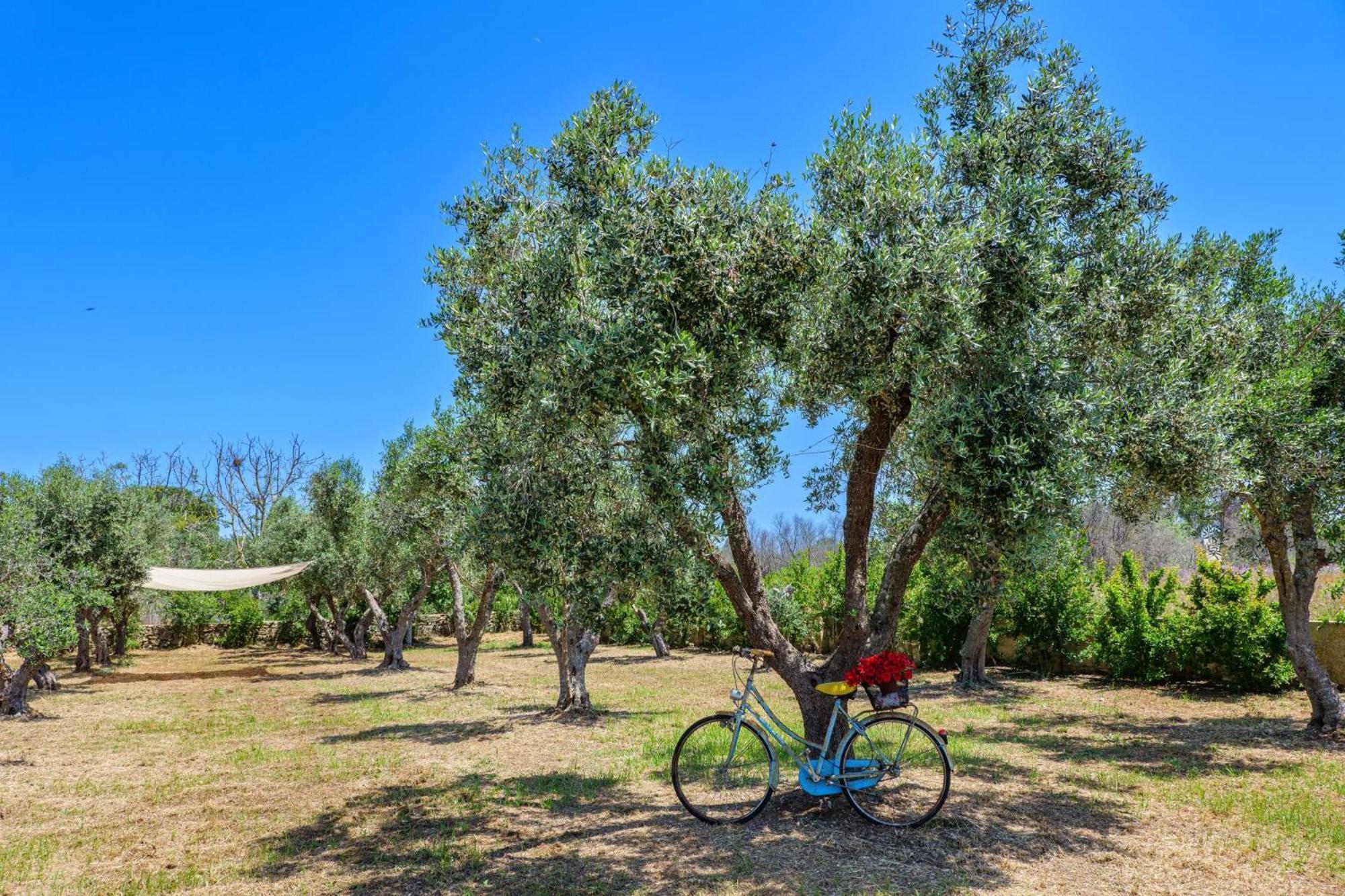 Tenuta la Trebbia Affittacamere Tricase Esterno foto